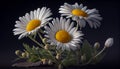 natures freshness showcased in yellow daisies petals ,generative AI