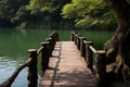 Natures harmony Bridge against a scenic lake at Pang Oung