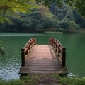 Natures harmony Bridge against a scenic lake at Pang Oung