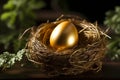 Natures jewel a golden egg shines amidst delicate bird nest twigs Royalty Free Stock Photo