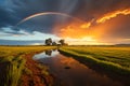 Natures marvel Double rainbow graces the expansive field scenery