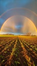 Natures marvel Double rainbow graces the expansive field scenery