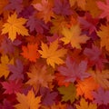 Natures palette Maple leaves in red, orange, and green tones Royalty Free Stock Photo