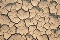 Natures plea Barren landscape with deeply cracked and dry soil Royalty Free Stock Photo