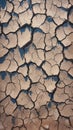 Natures plea Barren landscape with deeply cracked and dry soil Royalty Free Stock Photo