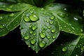 Natures plea green leaf signifies Earth conservation, water drop as backdrop Royalty Free Stock Photo