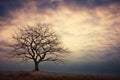 Natures poetry, bare tree silhouette stands against the twilight sky