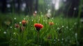 Natures Post-Rain Symphony, Sunlit Forest Clearings Bursting with Vibrant Flowers on a Verdant Carpet, Generative AI