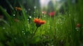 Natures Post-Rain Symphony, Sunlit Forest Clearings Bursting with Vibrant Flowers on a Verdant Carpet, Generative AI