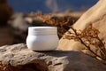 Natures simplicity white jar near a solid, weathered rock