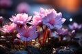 Natures symphony Spring flowers bloom, blurred bokeh in the background