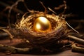 Natures treasure a shimmering golden egg nestled amid bird nest twigs