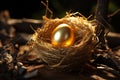 Natures treasure a shimmering golden egg nestled amid bird nest twigs Royalty Free Stock Photo