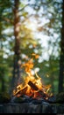 Natures warmth Campfire burning brightly against lush green backdrop