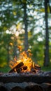 Natures warmth Campfire burning brightly against lush green backdrop