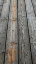 Natures warmth Wooden background offers a natural and rustic aesthetic