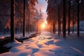 Natures winter beauty shines through a forest sunset scenery