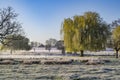 Natures wonderland of frost mist and sunshine Royalty Free Stock Photo