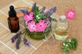 Naturopathic Herbal Medicine with Flowers and Herbs