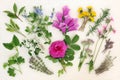 Naturopathic Herbs and Flowers