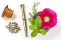 Naturopathy with herbs