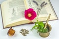 Naturopathy with herbs