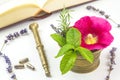 Naturopathy with herbs