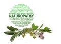 Naturopathy Word Circle Herbalist concept