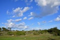 Naturreservat Danbo at Gotland