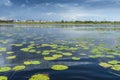 Natuurgebied Naardermeer, Nature reserve Naardermeer Royalty Free Stock Photo