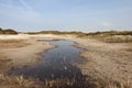 Natuurgebied Texel, Nature reserve Texel Royalty Free Stock Photo