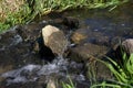 Stones in the clear, flowing stream