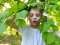 The naughty blond boy has his lips pulled out and looks down. Child plays in the forest. Linden park with freshly paneled foliage