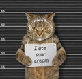 Naughty cat ate sour cream