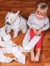 Naughty child and white schnauzer puppy sitting on