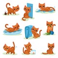 Naughty kitten in different situations, mischievous cute little cat vector Illustrations on a white background