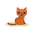 Naughty kitten gnawing wire with plug, mischievous cute little cat vector Illustration on a white background