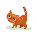 Naughty Kitten Peeing On The Floor, Mischievous Cute Little Cat Vector Illustration On A White Background