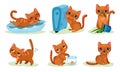 Naughty Playful Kitten Turning Over the Flowerpot, Cathcing Fish in Aquarium Vector Set