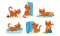 Naughty Playful Kitten Turning Over the Flowerpot, Scrabbling Wallpaper Vector Set Royalty Free Stock Photo