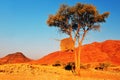 Naukluft National Park Namibia, Royalty Free Stock Photo