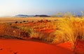 Naukluft National Park Namibia, Royalty Free Stock Photo
