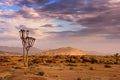 Naukluft Nature Reserve, Namib Desert, Namibia Royalty Free Stock Photo