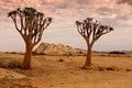 Naukluft Nature Reserve, Namib Desert, Namibia Royalty Free Stock Photo