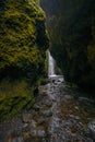 Nauthusagil waterfall canyon on south coast, Iceland