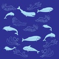 Nautica seamless pattern with sea animals and waves