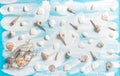 Nautical background fishing net sea shells Maritime flat lay Royalty Free Stock Photo