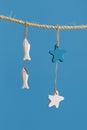 Nautical concept with sea lifestyle decorations hanging on rope. Sea toys lifeline, seastars and small fish