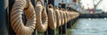 Nautical harbor dock with coiled rope rings on metal poles by the water Royalty Free Stock Photo