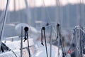 Nautical ropes on a deck. Winch and nautical ropes on a sailing boat Royalty Free Stock Photo